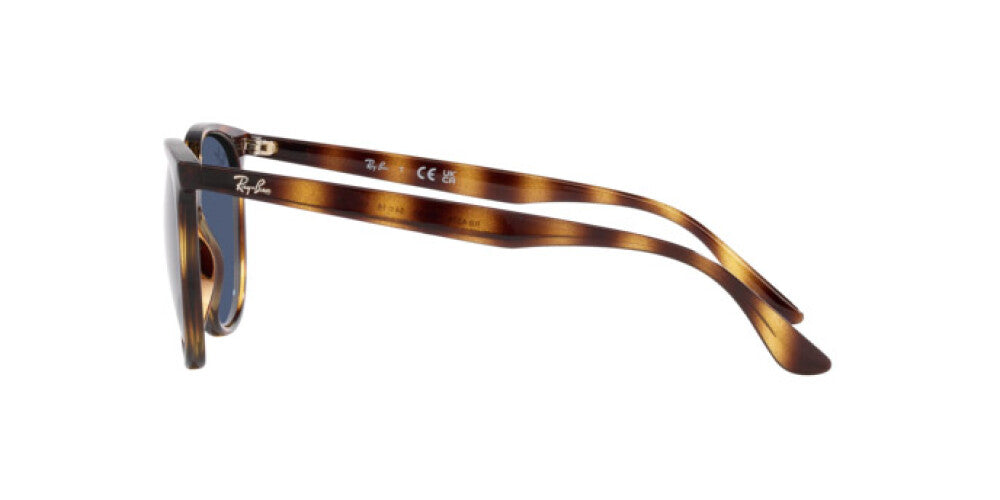 RAY-BAN RB 4378 710/80 54
