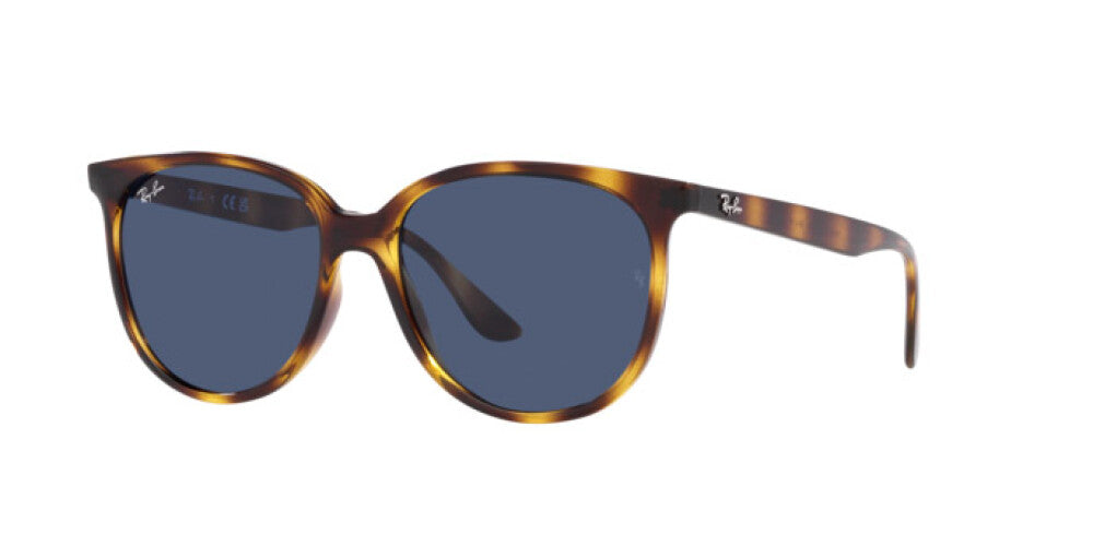 RAY-BAN RB 4378 710/80 54