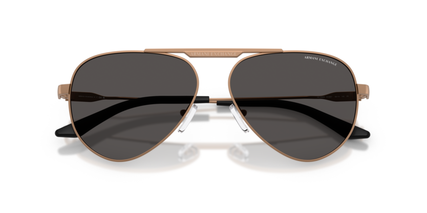 Armani Exchange AX2060S 610687