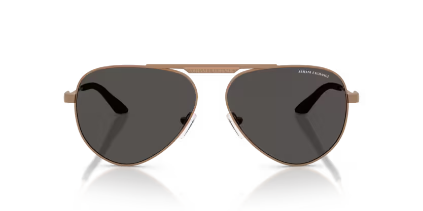 Armani Exchange AX2060S 610687