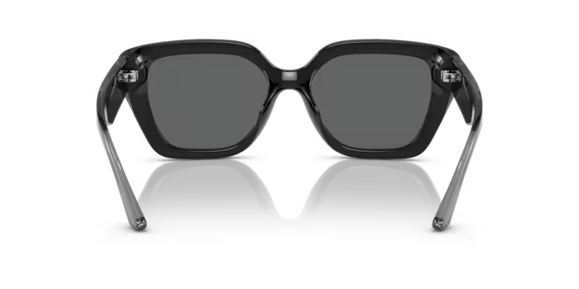 Armani Exchange AX 4125SU 815887 54 – Sunčane Naočale