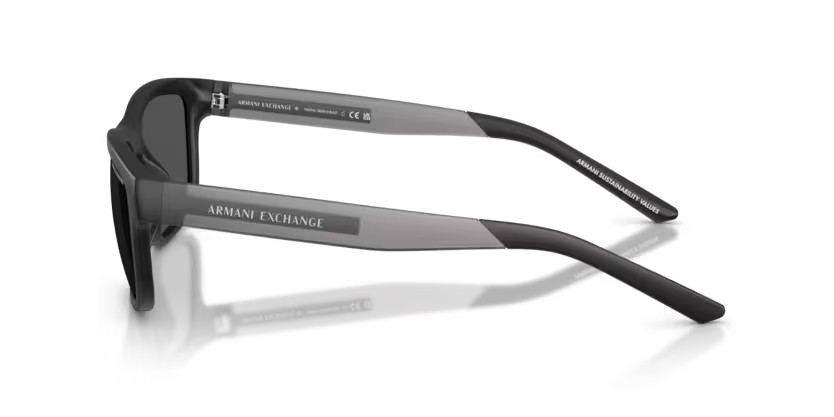 Armani Exchange AX 4169SU 500187 55