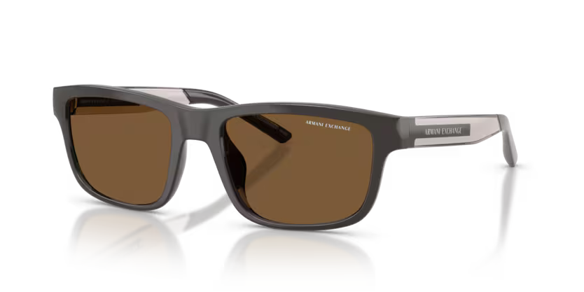 Armani Exchange AX 4169SU 840573 55