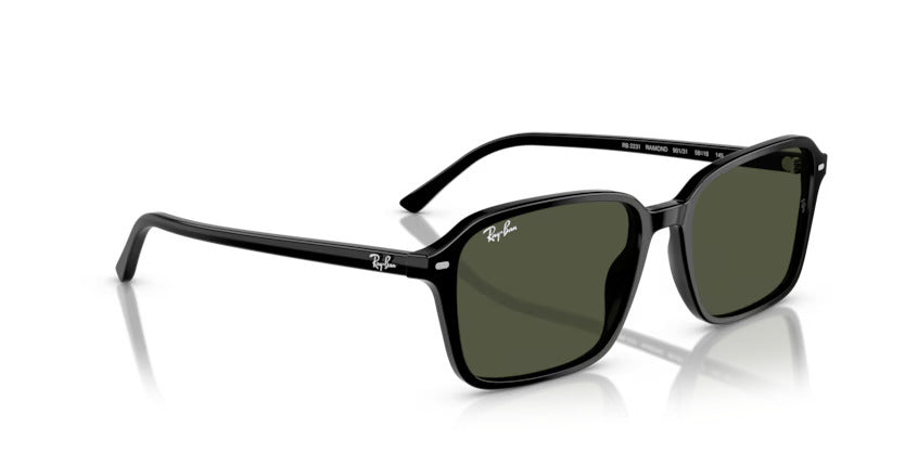 RAY-BAN RB 2231 901/31 58