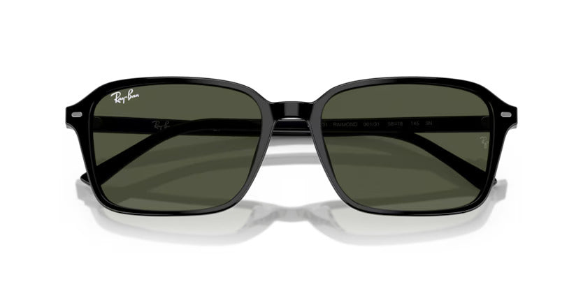 RAY-BAN RB 2231 901/31 58