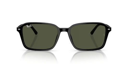 RAY-BAN RB 2231 901/31 58
