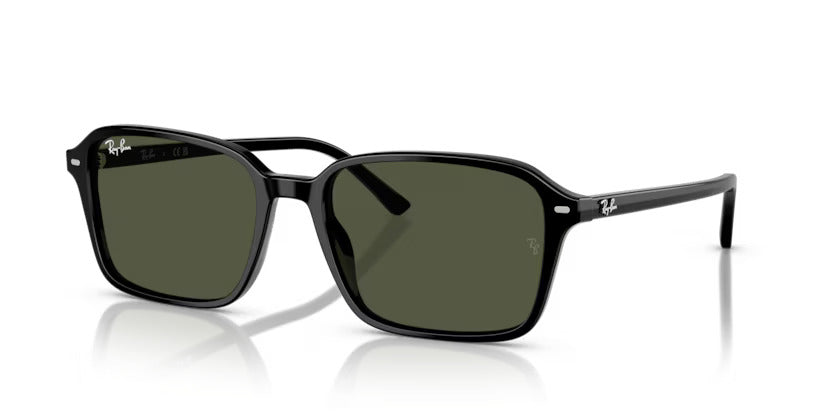 RAY-BAN RB 2231 901/31 58