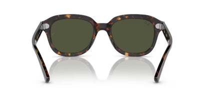 RAY-BAN RB 4398 902/31 53